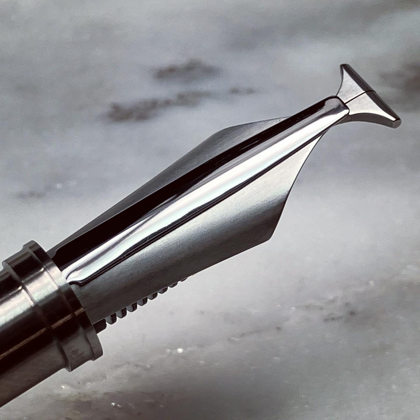 New! Whale Nib