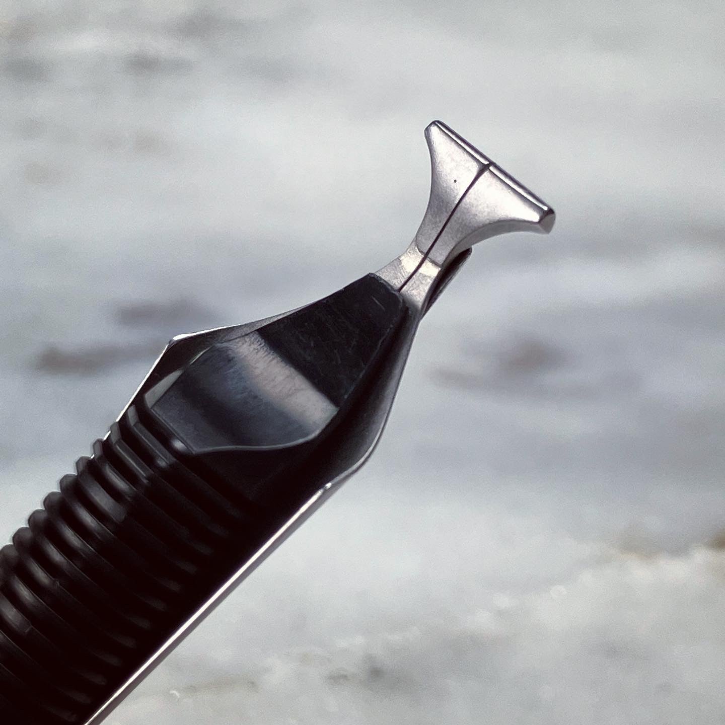 New! Whale Nib