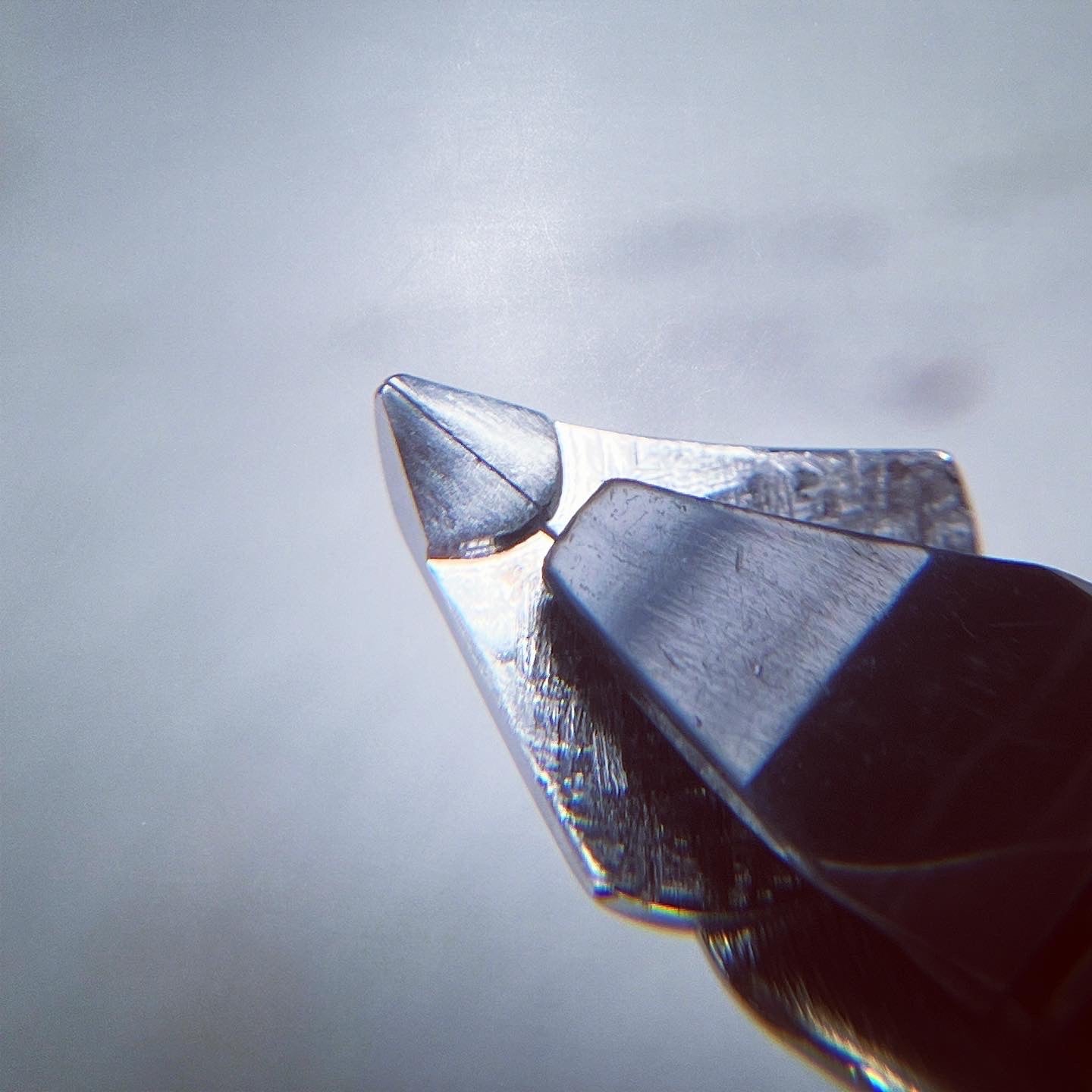 Kestrel Nib