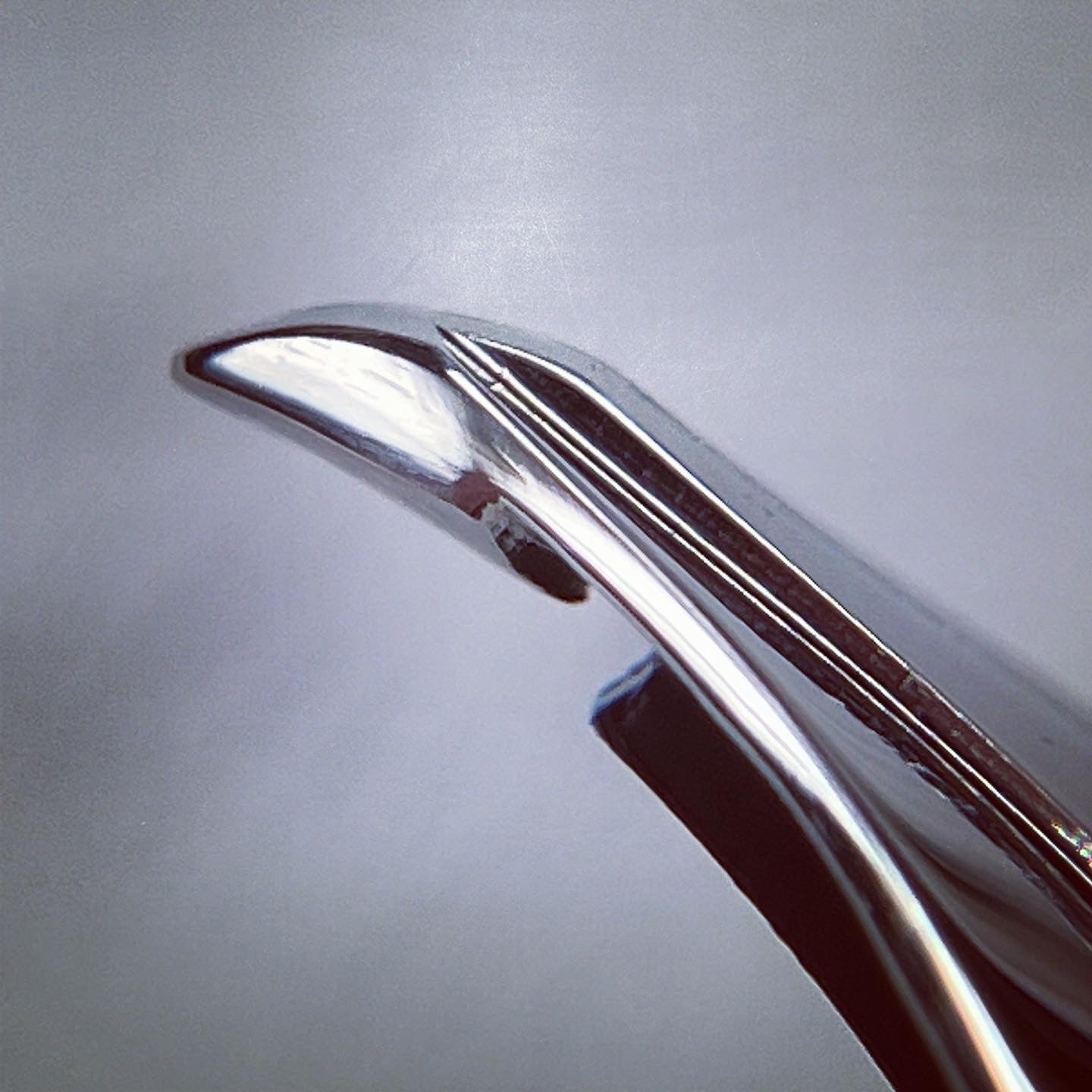 Kestrel Nib